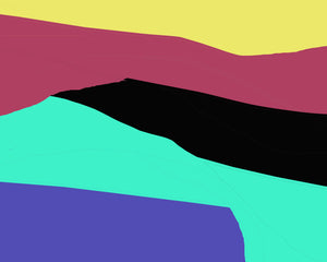 "091323C"  48" x 60"
