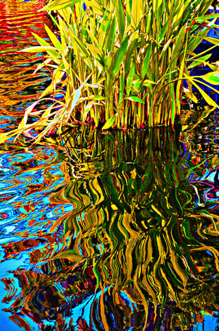 Botanical Gardens #320