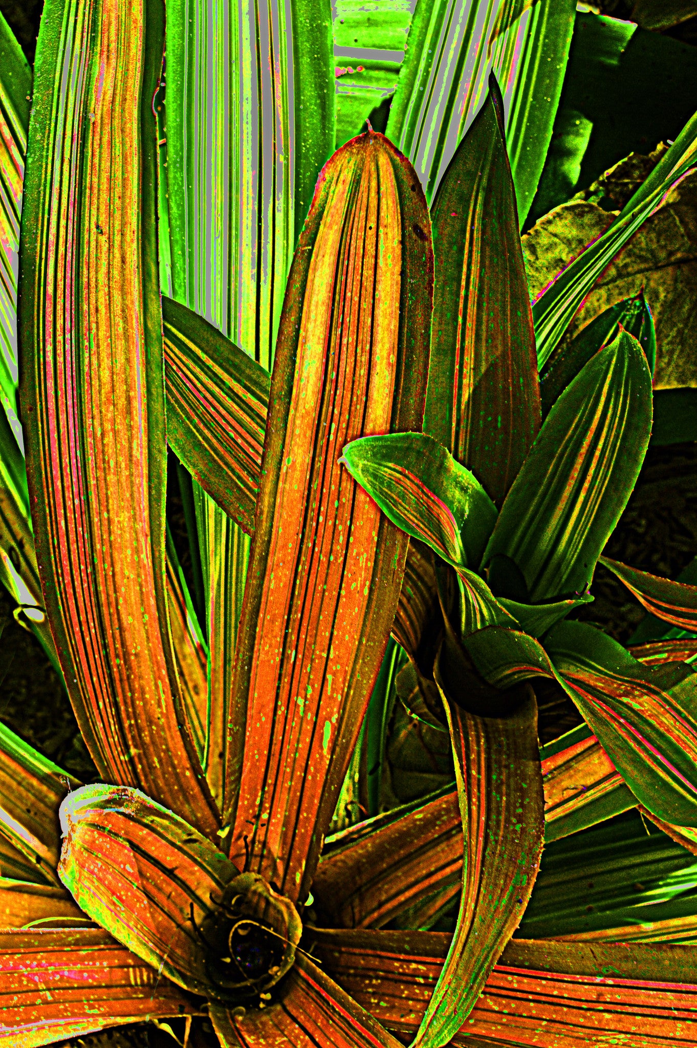 Botanical Gardens #334