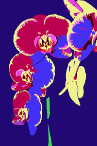 Botanical Gardens Orchid #768 Composite