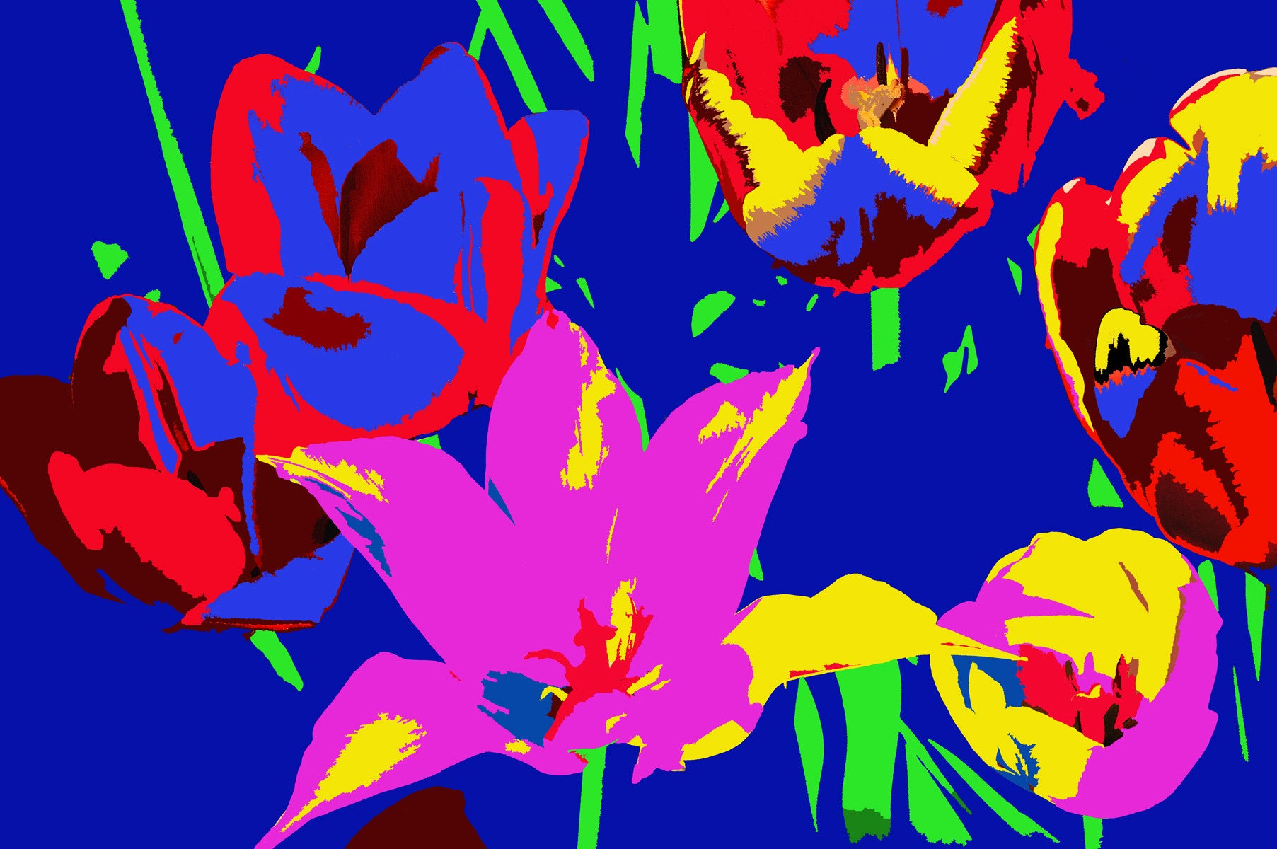 Tulips #803 Composite
