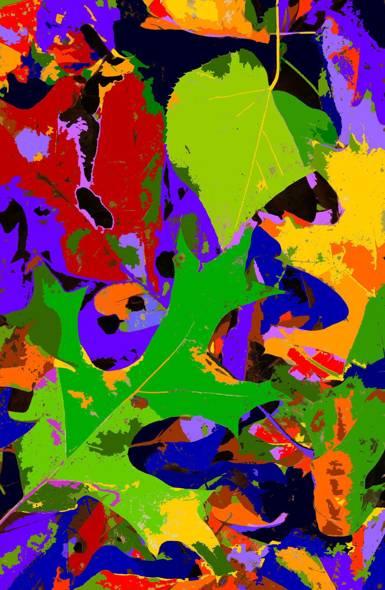 Leaves 110405A