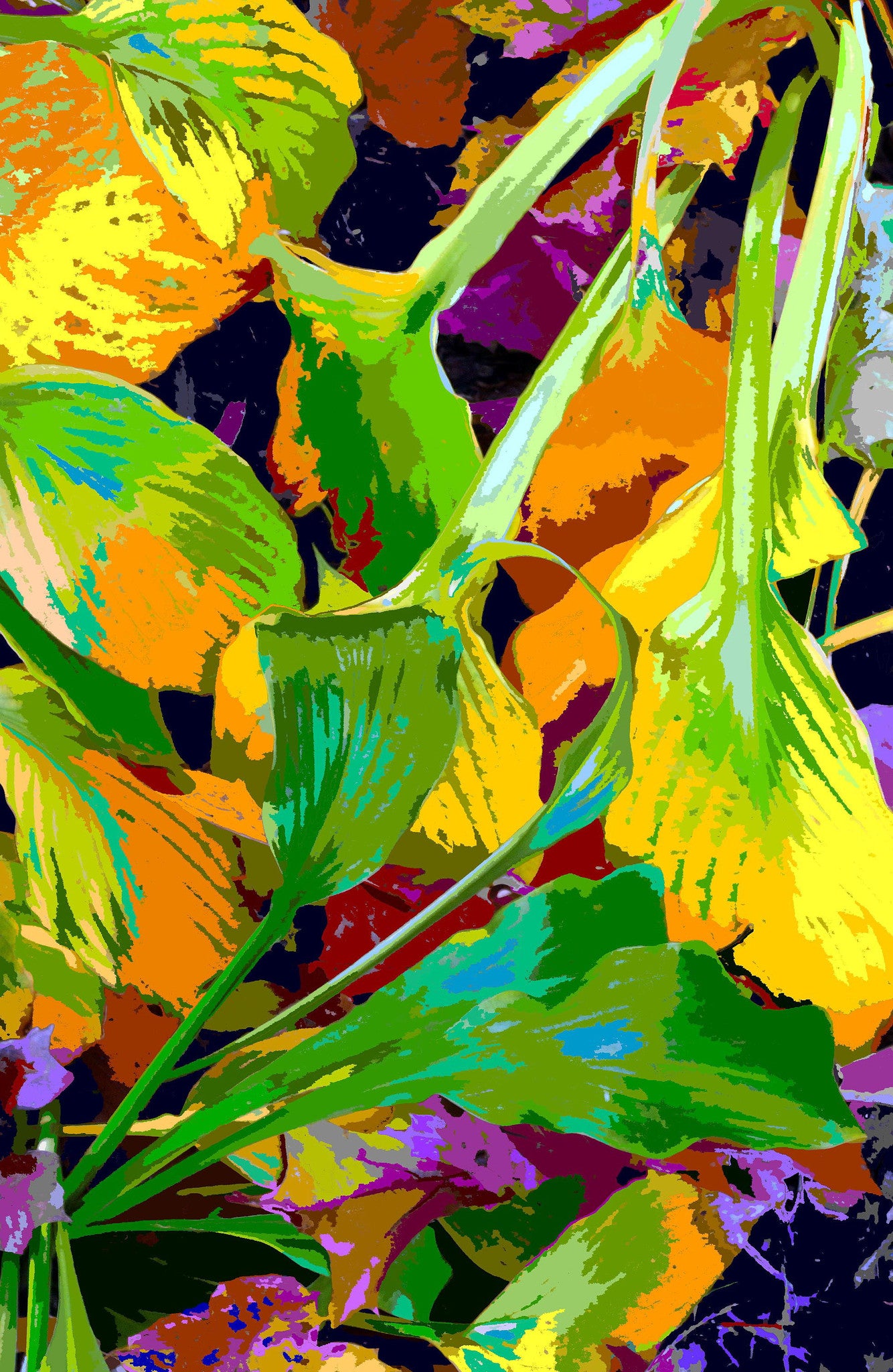 Leaves