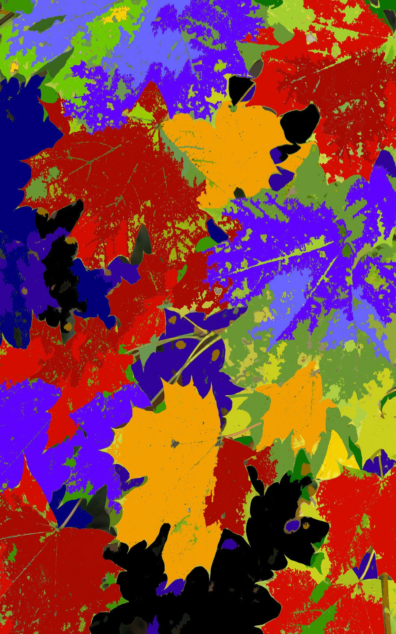 Leaves 17