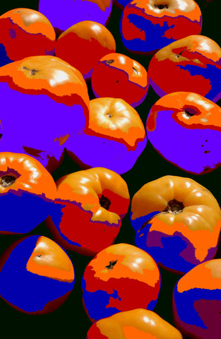 Tomatoes 100805